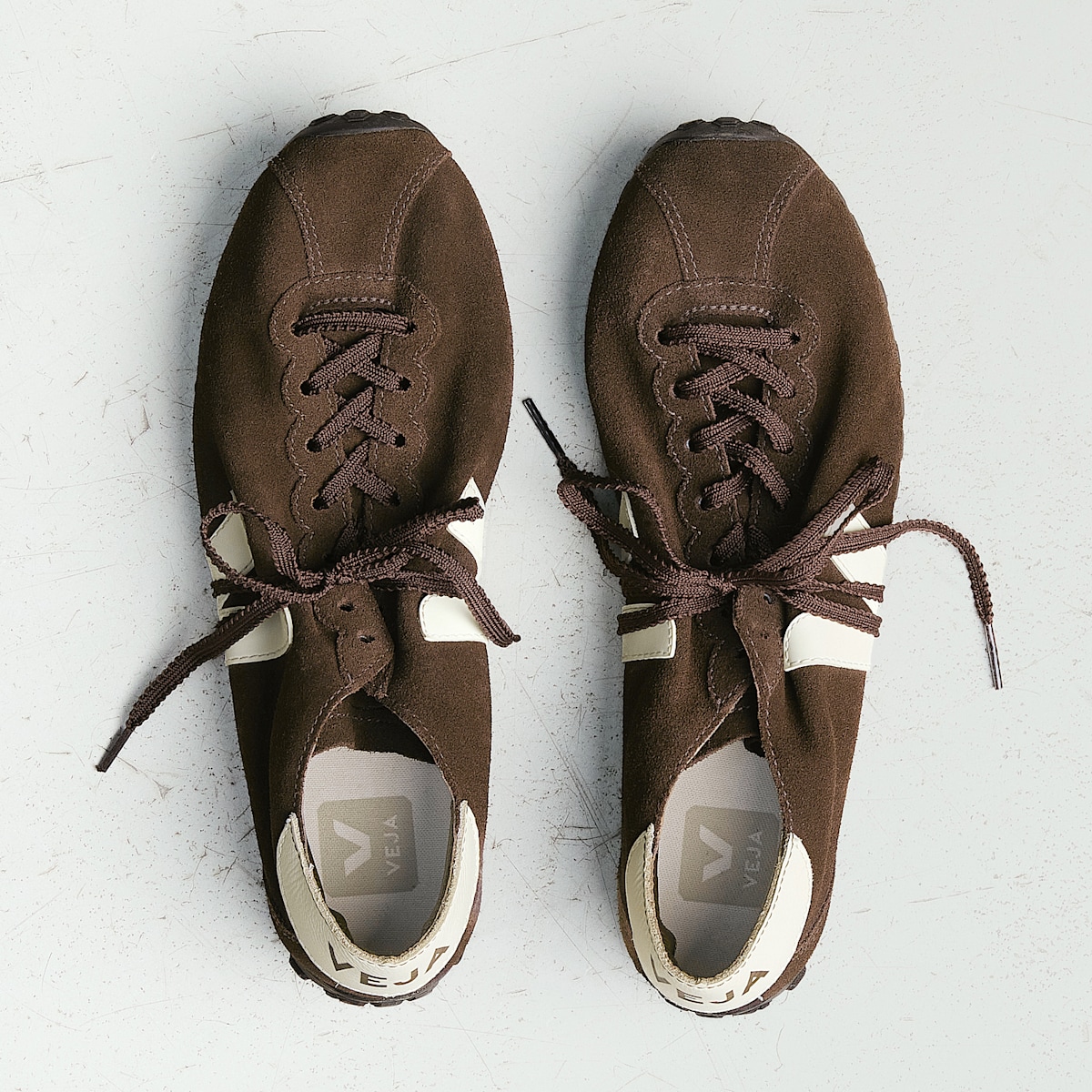 CATEYES SUEDE EAGLE CASHEW - Image 4